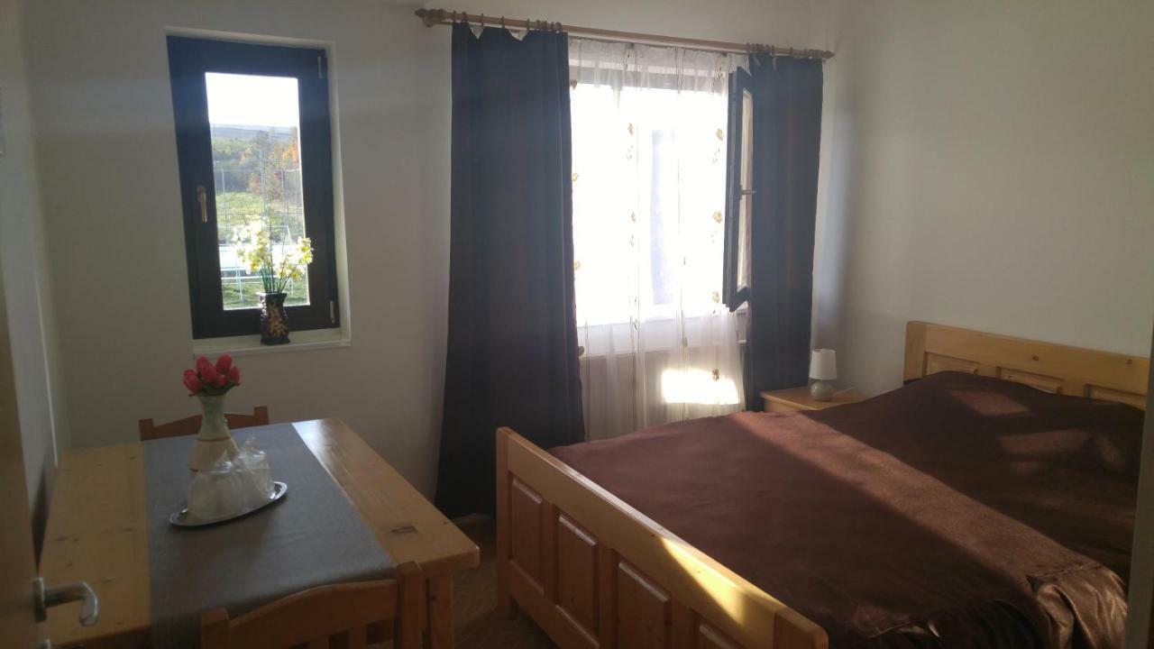 Pensiunea Casa Vanatorului Hotel Oteleni ภายนอก รูปภาพ