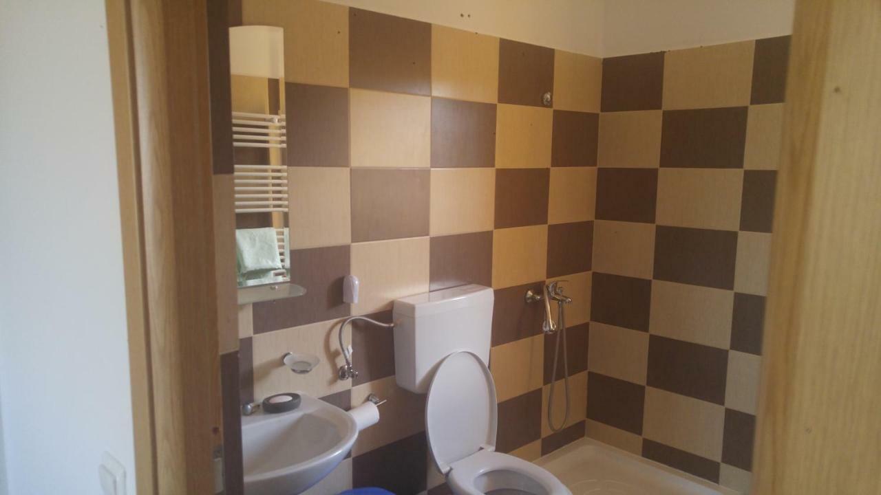 Pensiunea Casa Vanatorului Hotel Oteleni ภายนอก รูปภาพ