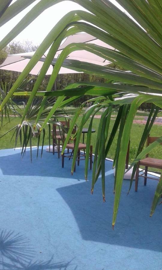Pensiunea Casa Vanatorului Hotel Oteleni ภายนอก รูปภาพ