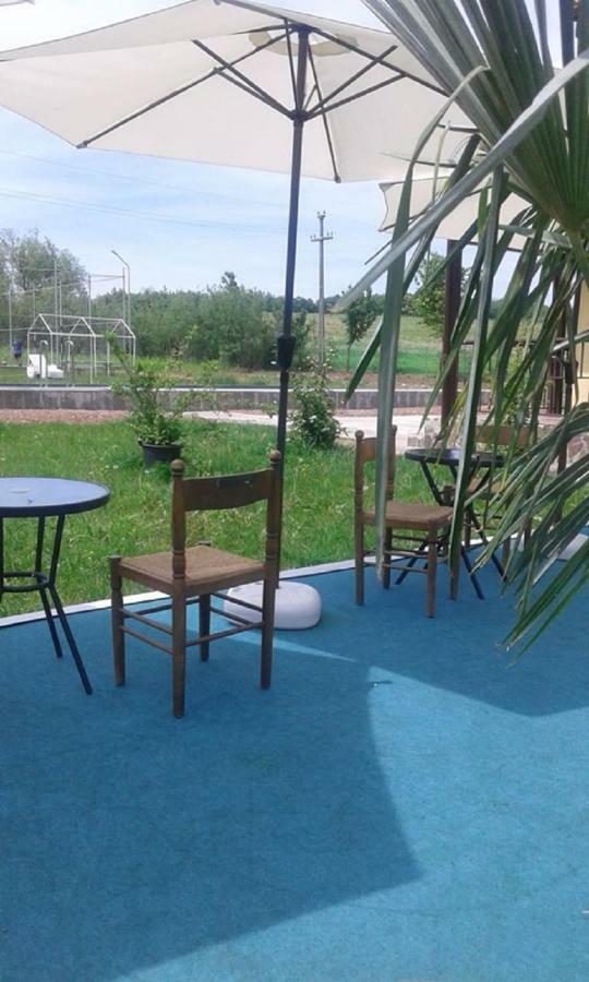 Pensiunea Casa Vanatorului Hotel Oteleni ภายนอก รูปภาพ