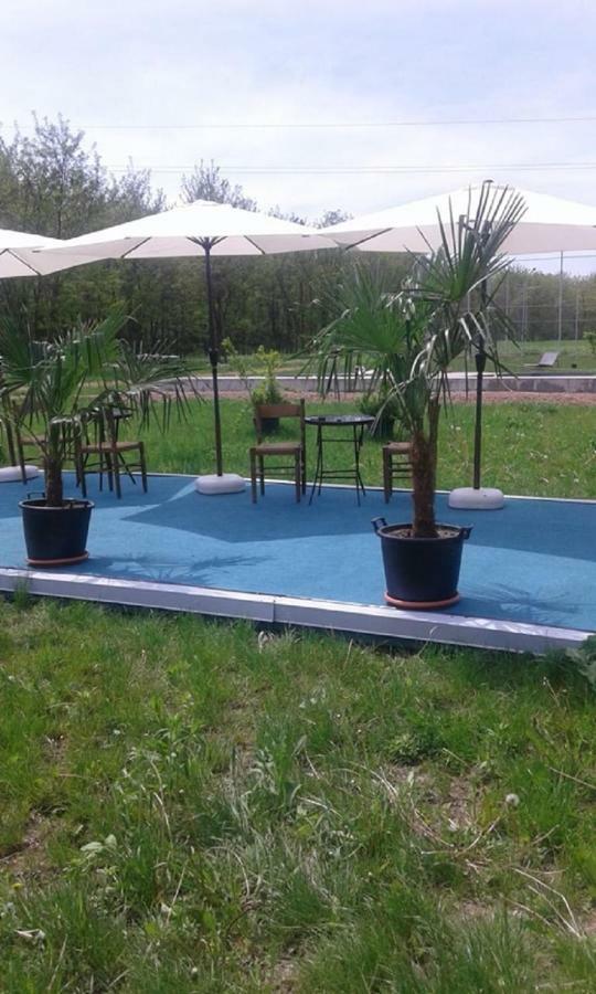 Pensiunea Casa Vanatorului Hotel Oteleni ภายนอก รูปภาพ