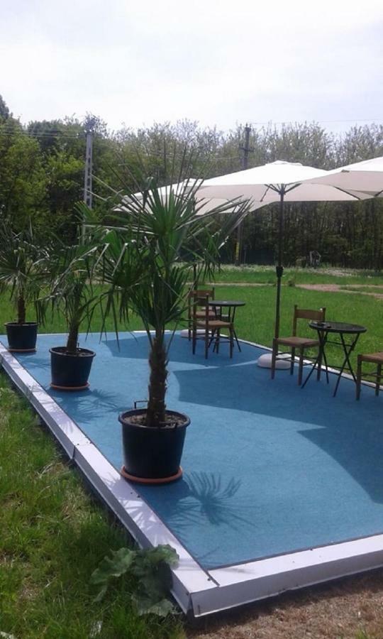 Pensiunea Casa Vanatorului Hotel Oteleni ภายนอก รูปภาพ